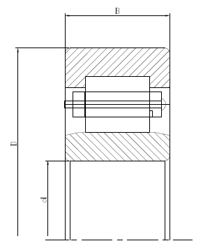 Cylindrical Roller Bearings